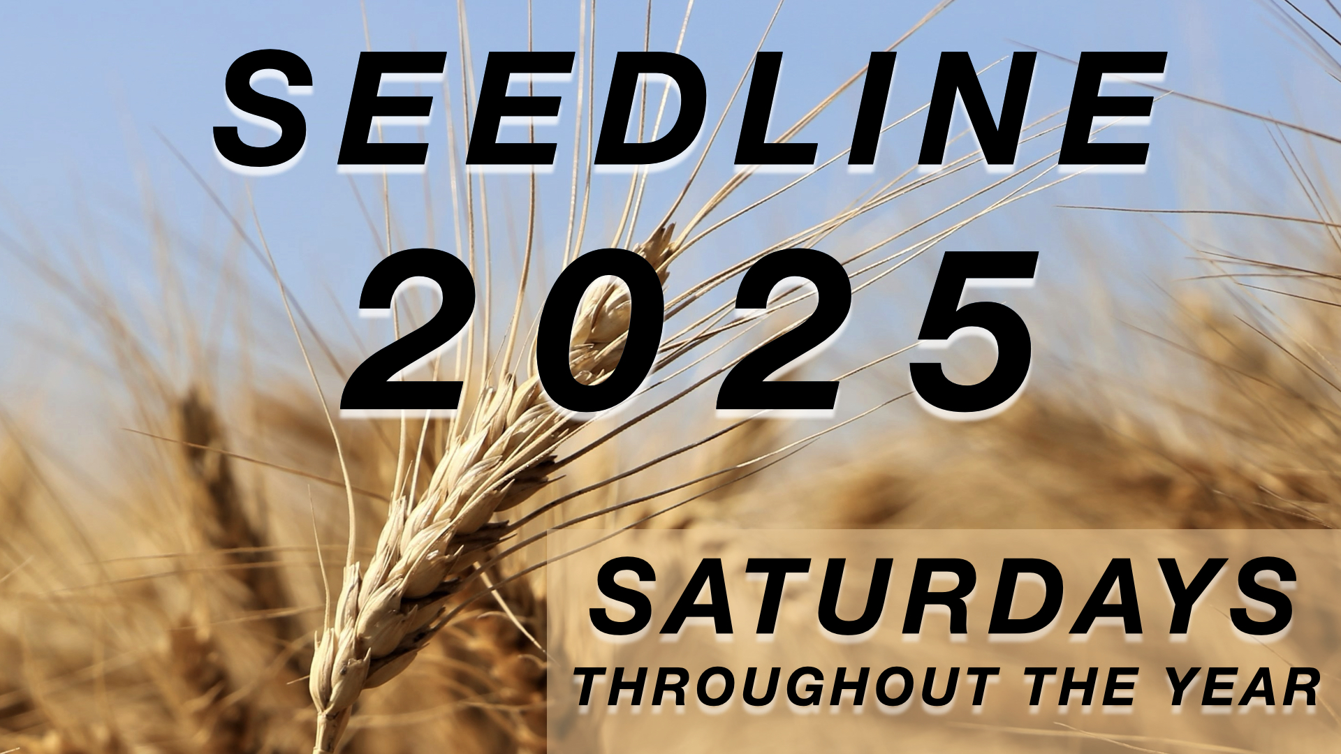 SEEDLINE 2025.001.jpeg